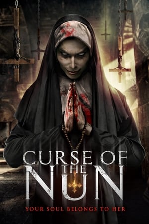 Curse of the Nun (2019) Hindi Dual Audio 720p BluRay [800MB]