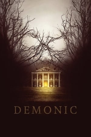 Demonic (2015) Hindi Dual Audio 720p BluRay [800MB]