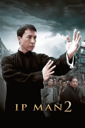 Ip Man 2 (2010) Hindi Dual Audio 720p BluRay [1GB]