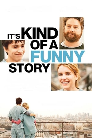 It's Kind of a Funny Story (2010) Hindi Dual Audio 480p BluRay 330MB ESubs