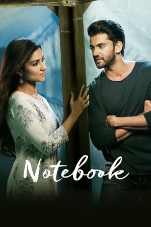 Notebook (2019) Hindi Movie 480p HDRip - [400MB]