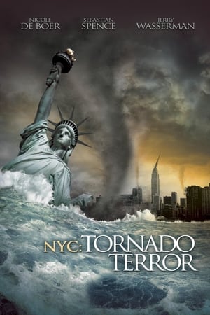 NYC Tornado Terror 2008 Hindi Dual Audio 720p BluRay [1.1GB]