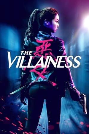 The Villainess (2017) Hindi Dual Audio HDRip 720p – 480p