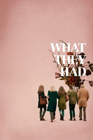 What They Had (2018) Hindi Dual Audio 720p BluRay [900MB]