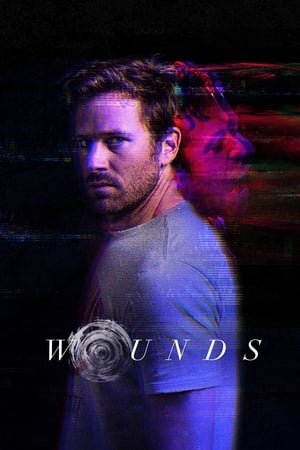 Wounds (2019) Hindi Dual Audio 480p BluRay 300MB